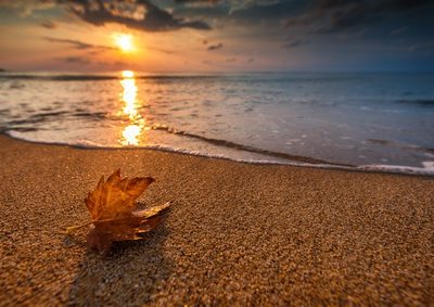 Octobre, mois mystérieux, à la fois symbole de fin et de renouveau